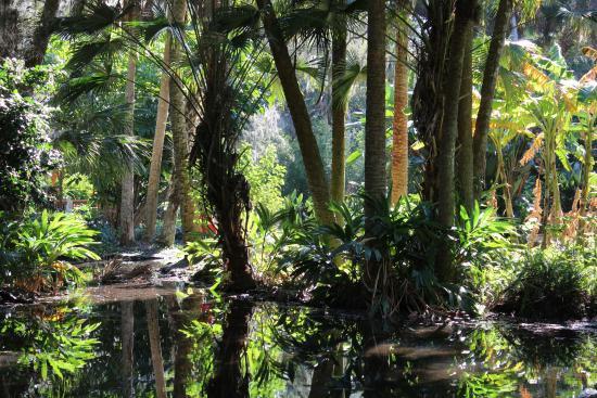 Washington Oaks Gardens State Park